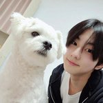 유기견을 <b>가족</b>으로 들인 따수운 <b>아이돌</b>