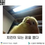 미자는 몸매 아무리 좋아도 미자 같음?