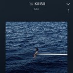 근데 <b>sza</b> 이사람 원래 유명했음?