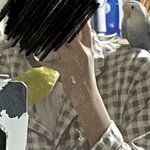 [댓글부탁해] 나 앵무새 5마리 키움!ㅋㅋㅋㅋ
