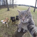 [19] 근데 옷에서 섬유<b>유연제</b> 냄새나는 애들은