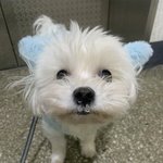 [19] 나만 밑ㄱㅅ 선? 없냐