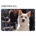 [오스카수상] <b>옛연인</b>과의 스쳐지나침