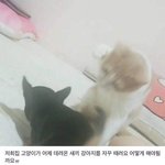 근데 뭐든 생각해보면 진짜 다 신기하지 않냐??