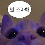 부모님 모시고 하루필름 같은 포토<b>부스</b> 가봐