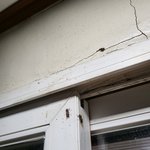 [의견부탁] 월세 자취방 말벌 <b>출몰</b>