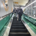[추반] 에스컬레이터 추반좀