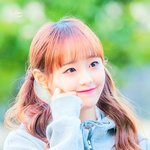 [댓글부탁해] 너네 판 <b>가입</b>한지 얼마나 됨?