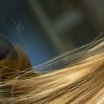 이 머리에 <b>애쉬</b>브라운 가능?