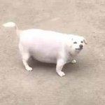 ㄹㅇ 쓰레기남이 기억에 더 <b>남음</b>??