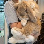 이렇게 크다고? 빅<b>사이즈</b> 동물들