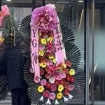 [모두드루와] 트레저 육아하는 <b>와이지</b>