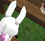 [레이] <b>베리</b>레드톡)