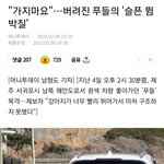 [19] 진짜 <b>반려동물</b> 버리는 인간들은