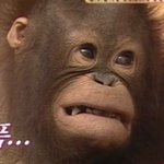 스카에서 알람 울ㄹ림