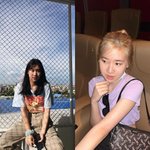 로제 <b>민서</b>공이는 도대체 몇 명임?