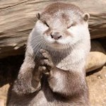 [군대] 방탄 <b>안전</b>이별 기원 1일차