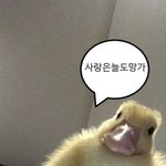 대학 단<b>톡</b><b>방</b> 들어갔는데