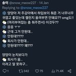 스엠 하이브 <b>사이</b> 이<b>정도</b>였어??
