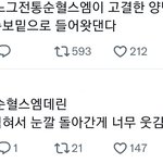 <b>순혈</b>스엠데린 ㅇㅈㄹ