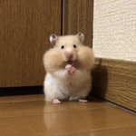 [모두드루와] 엔믹스 말이야