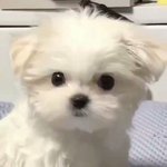 더보이즈 <b>영훈</b> 원래 성격 이래?