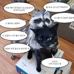 이거 장하오 <b>리키</b>임