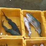 일본때문에 수산물도 못먹어요 망할