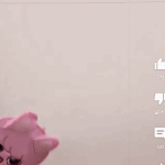 [스키즈] 돼끼 끼<b>부림</b>