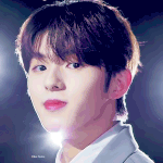 솔직히 내 픽이 보플 <b>일남들</b> 중에 제일 나아