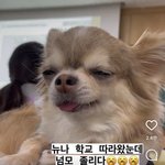 잉? 어느 지잡이 이걸 <b>허락</b>해?