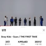 [스키즈] The first <b>take</b> SCARS