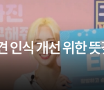아이칠린 리더 이지 유기견 유튜브 보기 좋다