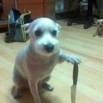 [댓글부탁해] 남친이랑 얘기하면 스트레스 쌓이는데 내가 이상한건가...