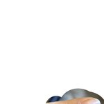 니코틴 <b>착색</b> ㅅ ㅂ