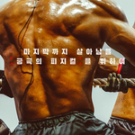공개될 넷플릭스 예능 라인업