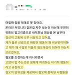 [길냥이] 새덕후 때문에 정신과 치료 받는다는 캣맘?!