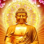 <b>부처</b> 왈 천상천하 유아독존