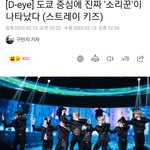 [스키즈] 디ㅅㅍㅊ  기사