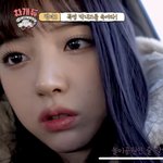 엔믹스 <b>지우</b> 개이쁘네