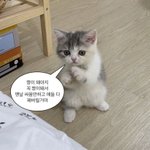 [드루와] <b>추합</b> 전화옴