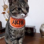 갑자기 <b>생각남</b>