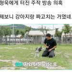 강아지 강씨 <b>주작</b>방송