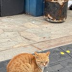 [모두드루와] 자연미인 여<b>돌중</b>에 젤 이쁘다고 생각하는 애 누구임...