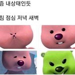 [드루와] 남자친구한테 명품백 사달라하는거 오바임?