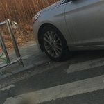 [19] 이정도면 고등학교 가서 전교1등 ㄱㄴ?
