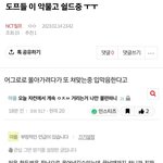 <b>도영</b> 재현 패는애 같은애인 증거