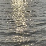 식욕억제제 4일차