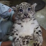 [댓글부탁해] 나 <b>블로그</b> 쓰는데 아무도 하트 안눌러줌