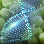 진화론은 우연을 믿는 사이비 종교 ....